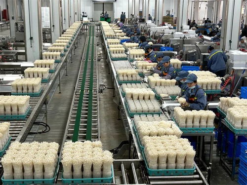 工厂化农业的绿色革命 贵港科技菇与朗德鹅养殖的乡村振兴样本
